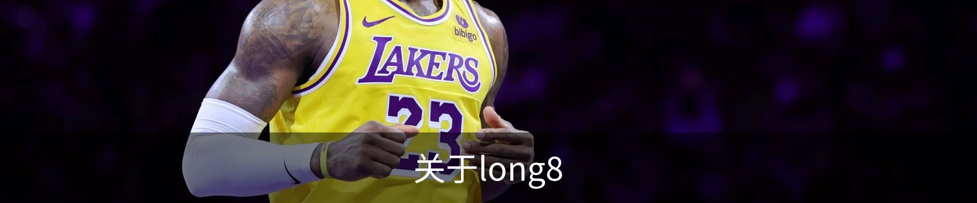 关于long8